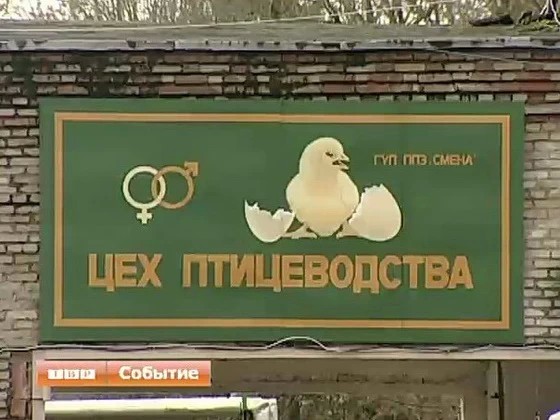 Почётная доска передовиков производства, возможно, теперь появится и в итальянском городе Террачино