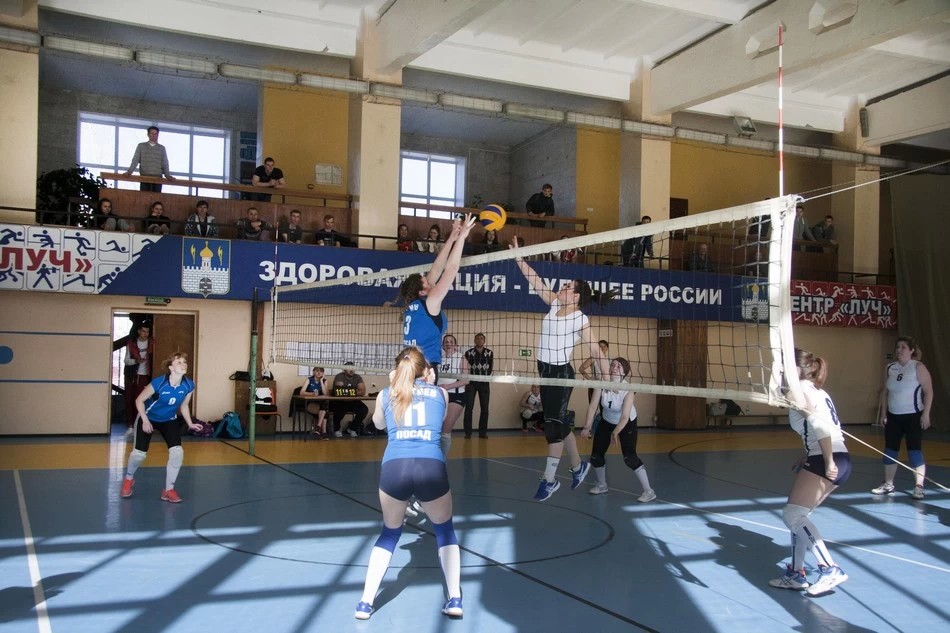 Прогресс волейбольного «Луча»