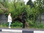 Побочный эффект благоустройства