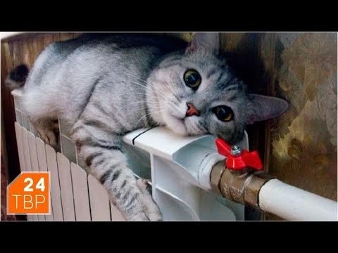 Сети Скобянки не выдержали напора котельной