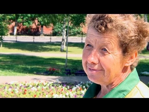 Цветы Посада: бархатцы, бегонии, петунии, виолы, колеусы