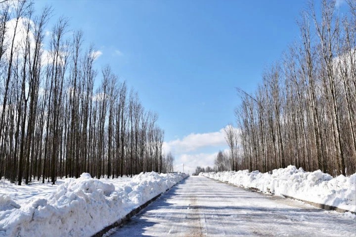 Реконструкция улицы Воздвиженской запланирована на 2019 год