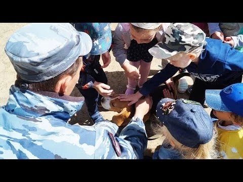 В Сергиевом Посаде полицейские-кинологи встретились с детьми