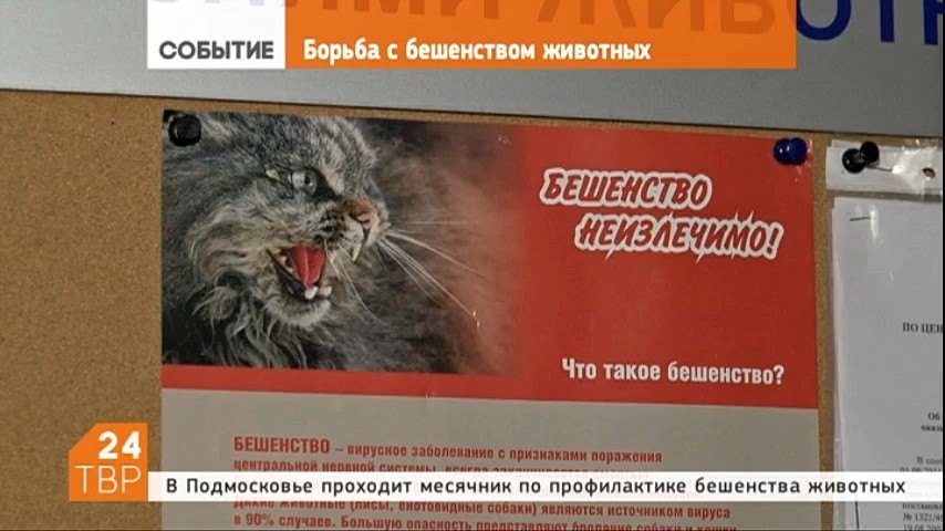 В Московской области продолжается месячник по профилактике бешенства домашних и диких плотоядных животных