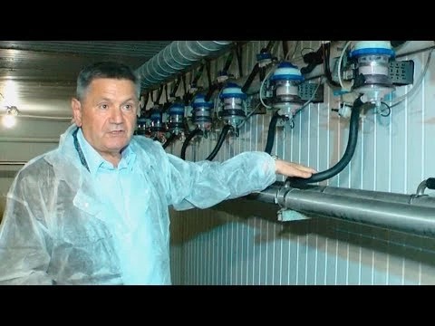 Экологичность продукции «Васильевского» подтверждена сертификатом Евросоюза