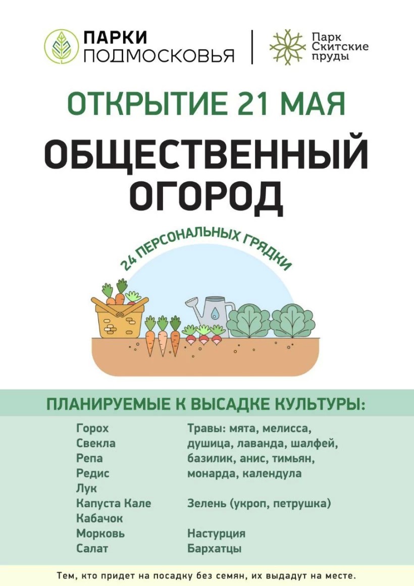 Огород в городе – парк «Скитские пруды» предлагает заняться садоводством