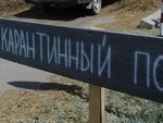 В районе чумы свиней нет