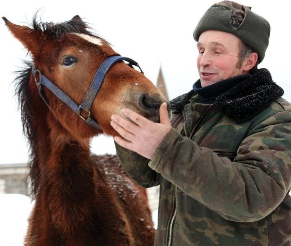 «Канары» у Плотихина