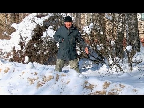 Дорогу на улице Толстого расчистят