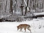 Заброшенный погост, забытые герои