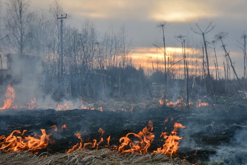 В Сергиево-Посадском округе начался пожароопасный период