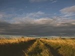 Неиспользуемые федеральные земли отойдут аграриям