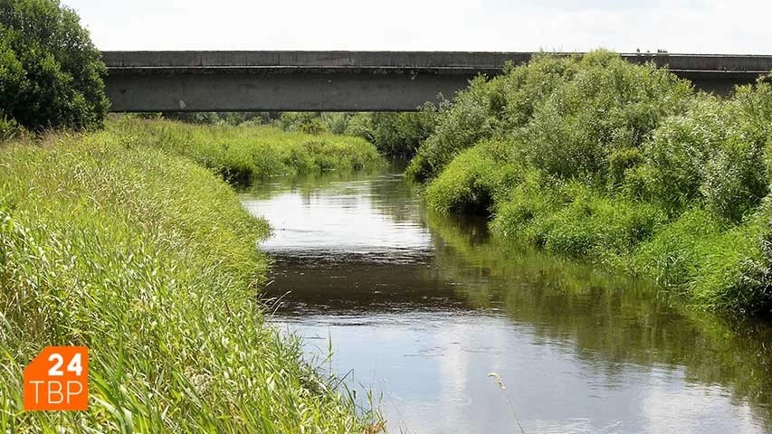 За загрязнение реки Куньи заплатят штраф в 150 тысяч рублей