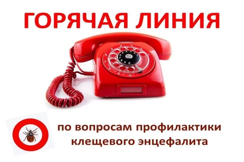 Уважаемые жители и гости Московской области!