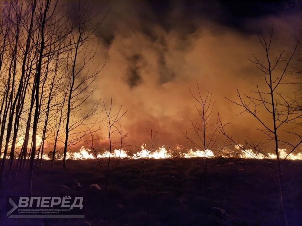 Деревня Ясниково едва не сгорела из-за мусорки