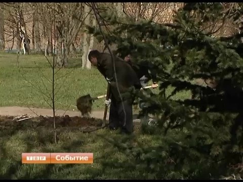 Все на субботник!