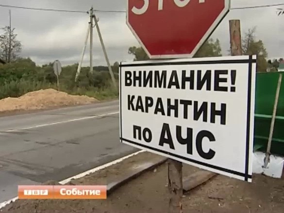 В Сергиево-Посадском районе работают веткордоны