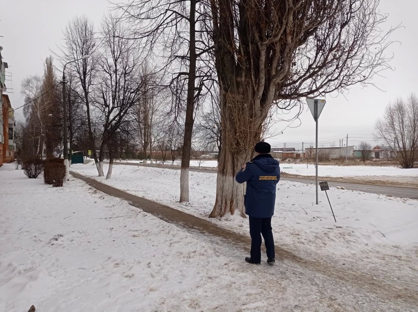 Снег идёт, но дорожники справляются