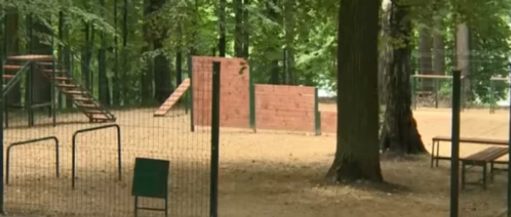 В парке «Скитские пруды» появилась площадка для дрессировки собак