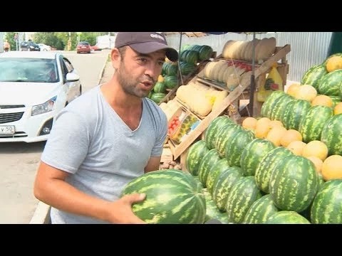 Арбузный бум набирает обороты