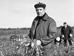 ЗОМЗ: сквозь призму времени