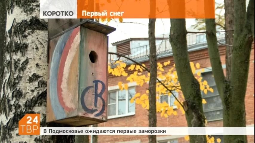 В Подмосковье ожидаются первые заморозки