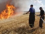 Пожар страховку не спросит