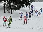 Лыжный Кубок заморозят?