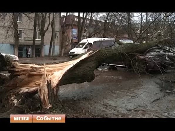 В Подмосковье объявлено штормовое предупреждение