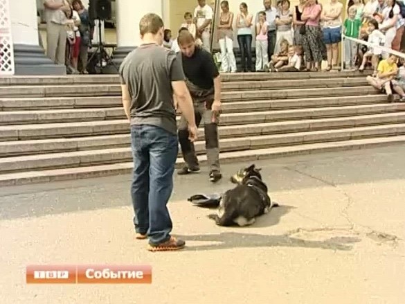 А у нас в семье собака