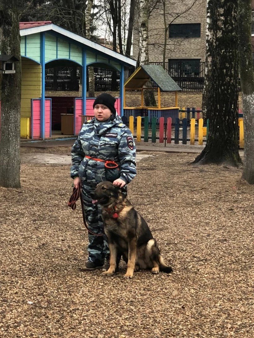 Сергиево-Посадские дошколята познакомились с профессией кинолога