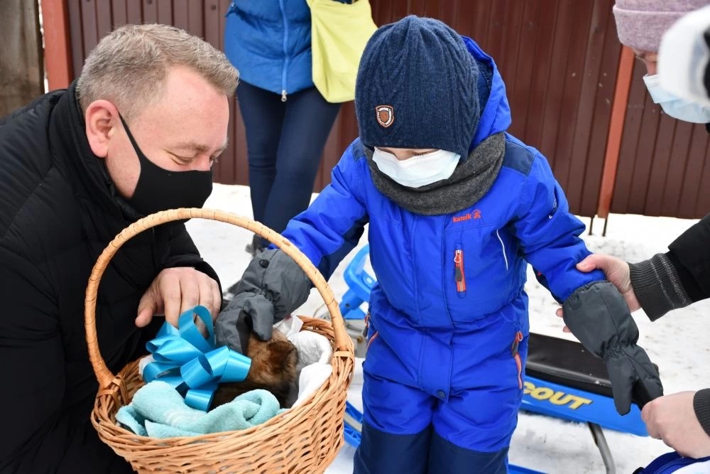 Кексик для Дениса Пыхонина