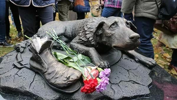 Памятник бездомной собаке появился в Москве