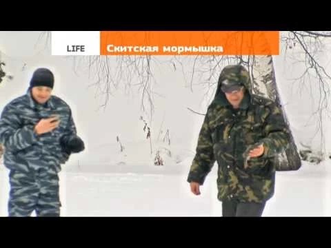 «Скитская мормышка-2016»