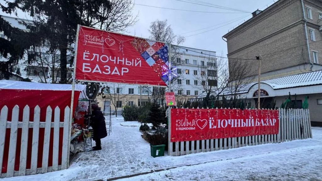 В Сергиево-Посадском округе открылись шесть ёлочных базаров