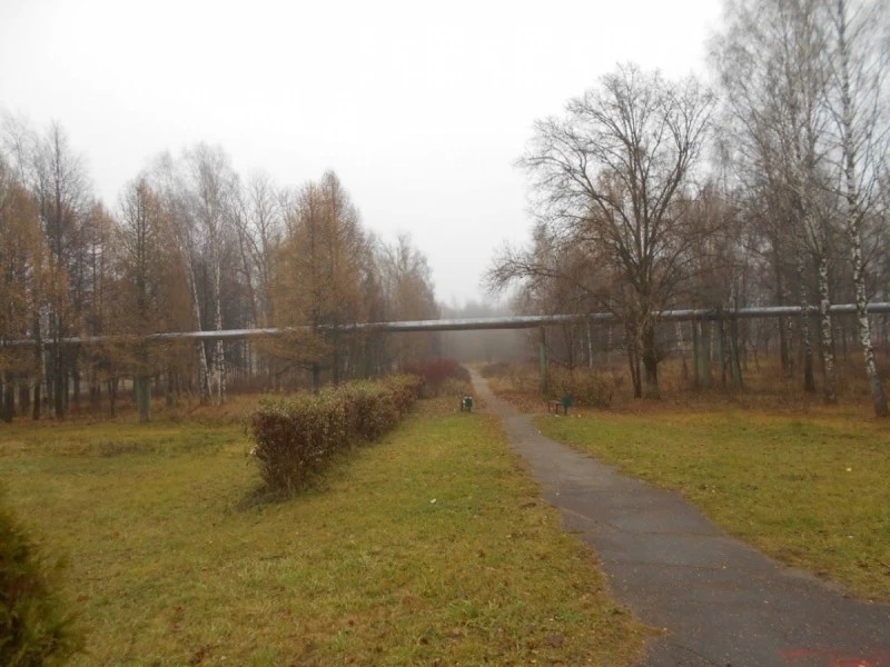 Жители могут предложить функциональное наполнение парка "Победы" в Краснозаводске