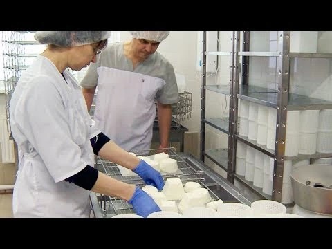 Нынешний бум сыроварения уже был в России