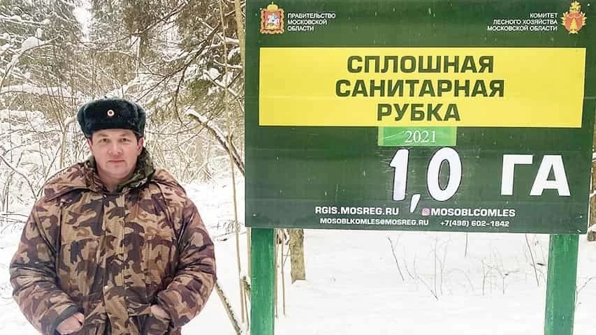 Лес у деревни Путятино в Сергиево-Посадском округе капитально обновят