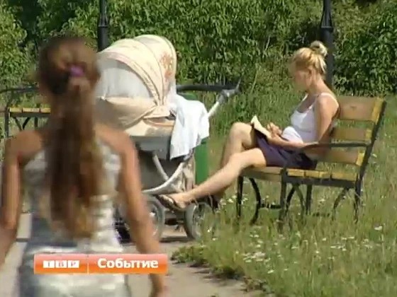 Городские цветы в Посаде и Богородском