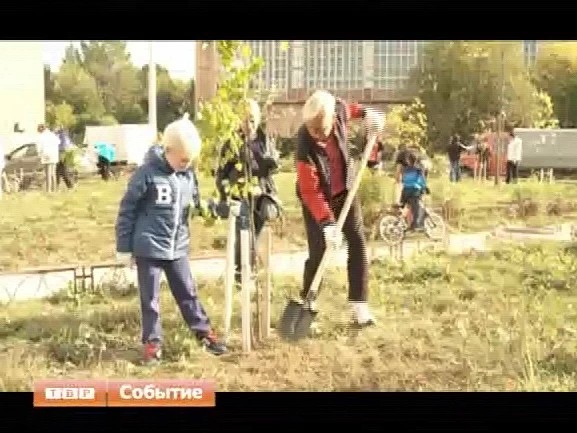 Подмосковное правительство рассмотрело вопрос о введении единых стандартов, норм и правил в сфере благоустройства территорий, которые после разработки будут оформлены в областной закон "О благоустройстве"
