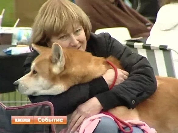 Первый в России и крупнейший в Европе фестиваль Акихо прошел в Сергиево-Посадском районе