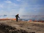 В лесах Московской области начался пожароопасный сезон