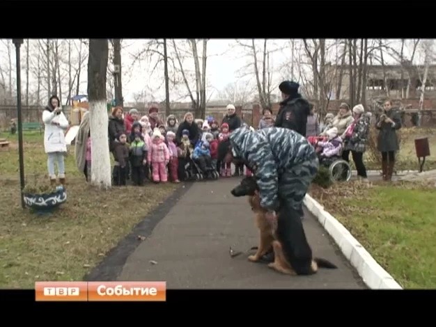Кинологи в «Оптимисте»