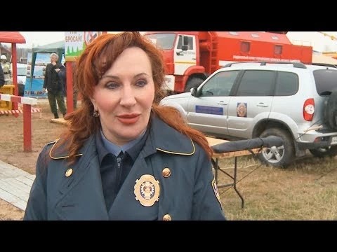 Нарушителей станут вычислять по номеру авто