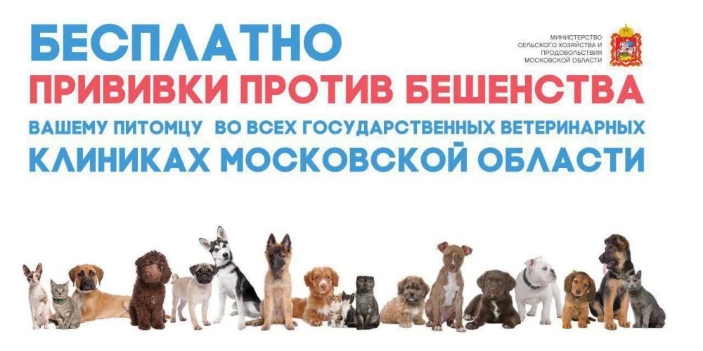 Бесплатная прививка для кошек и собак
