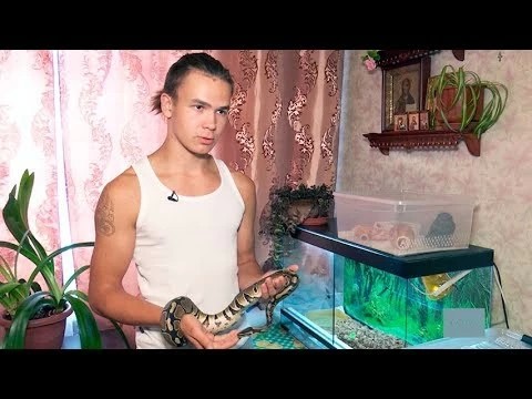 Хорошее отношение к змеям