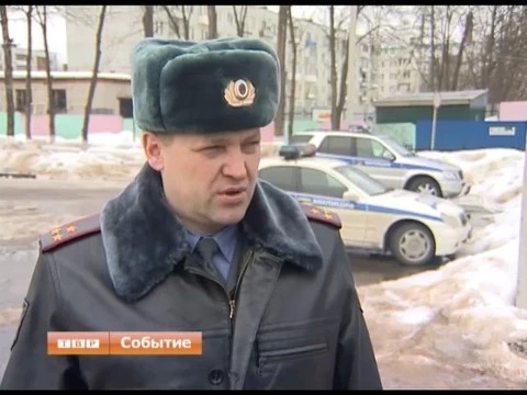 Зебру трудно не заметить!