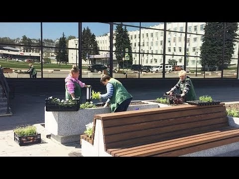 Пешеходным зонам добавили цветов