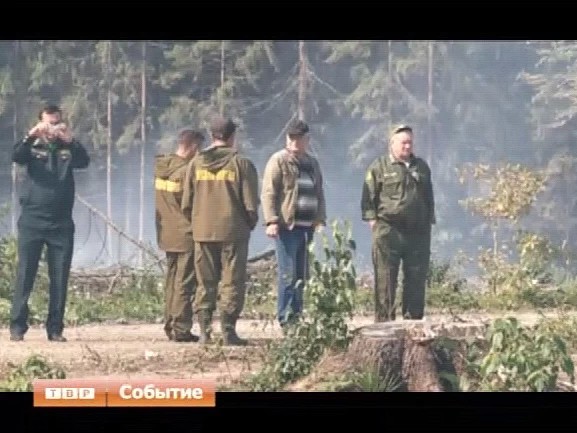 Скоро акция «Наш лес. Посади свое дерево»