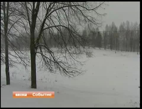 Молодежный парк культуры и отдыха хотят построить в поселке Птицеград